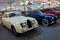 Bugatti Type 101 Cité de l'automobile de Mulhouse