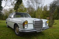 Mercedes 220 Expomobile à la jardinerie Laplace 2016