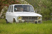 Renault 6 Expomobile à la jardinerie Laplace 2016