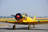  Meeting aérien de la base 103 2010