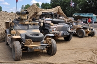  War and Peace Show 2010