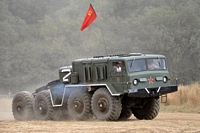  War and Peace Show 2010