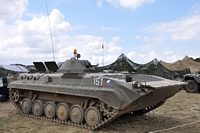  War and Peace Show 2010