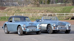 Austin Healey Esplanade de Lille, février 2013