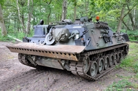 Bergeleopard Tanks in Town 2013