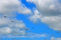 C47 skytrain 70ème anniversaire du débarquement en Normandie