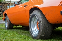 chevrolet camaro exposition jardinerie Laplace Chelles 2015