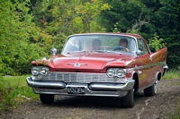 chevrolet new yorker 1959 exposition jardinerie Laplace Chelles 2015