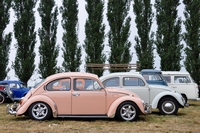 vw coccinelle Les vielles mécaniques d'en Flandres Rétro-Tracto 2015 à Sec-Bois