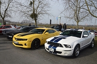 Shelby GT500 2007 Rencart mensuel US à Lognes-Emerainville, février 2017