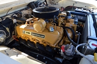  American Sunday 2025 à Zandvoort