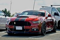  Rencart mensuel du Parvis du Val de Scarpe à Arras, août 2025 